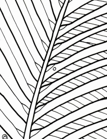 Palm Tree Coloring Page Beach Art Digital Download Adult - Etsy