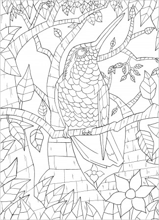 Bird on branch - Birds Adult Coloring Pages