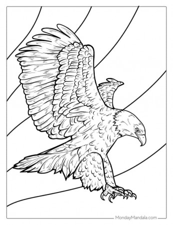 30 Bald Eagle Coloring Pages (Free PDF Printables)