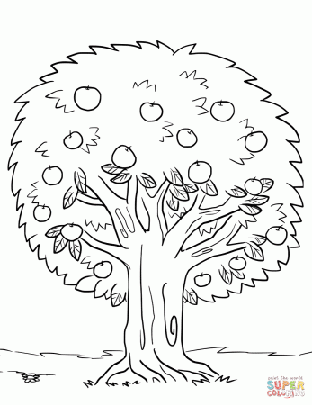 Apple Tree coloring page | Free Printable Coloring Pages