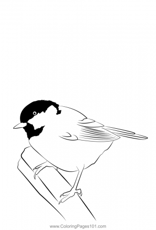 Coal Tit 7 Coloring Page for Kids - Free Bearded Tits Printable Coloring  Pages Online for Kids - ColoringPages101.com | Coloring Pages for Kids