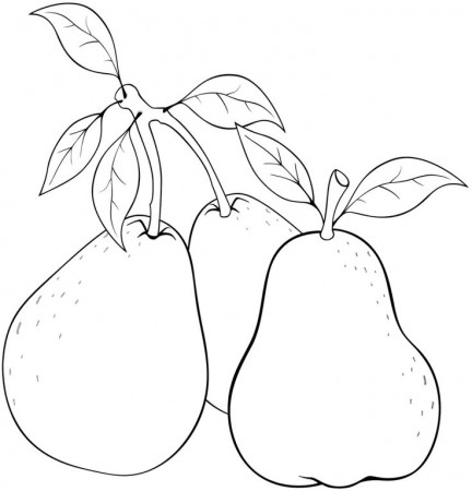 9 Exciting Guava Coloring Ideas for Kids - Coloring Pages in 2021 | Fruit coloring  pages, Guava, Color