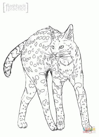 Wild cats coloring pages | Free Coloring Pages