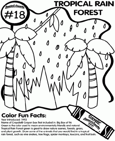 No.18 Tropical Rain Forest Coloring Page | crayola.com