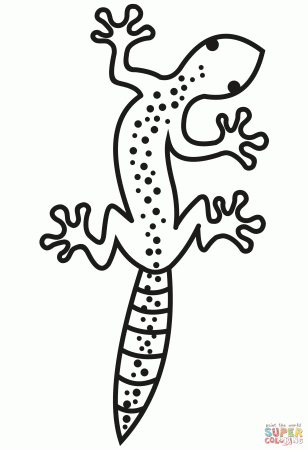 Gecko coloring page | Free Printable Coloring Pages