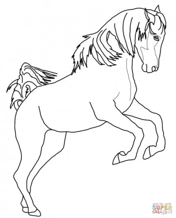 Rearing Arabian Horse coloring page | Free Printable Coloring Pages