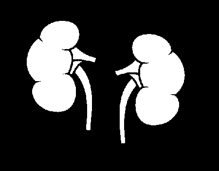Childrens coloring pages kidney