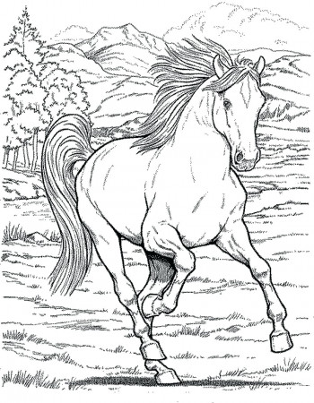 arabian horse coloring pages print – allurepaper.co