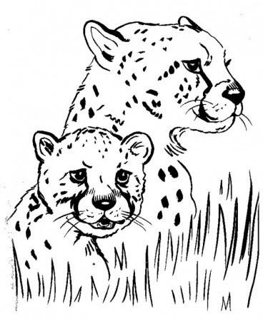 Baby cheetah coloring pages with mom - ColoringStar
