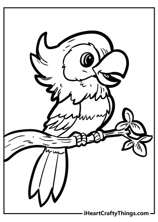 Bird Coloring Pages (100% Free Printables)