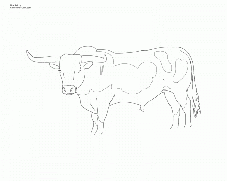13 Pics of Longhorn Coloring Pages - Longhorn Head Coloring Pages ...