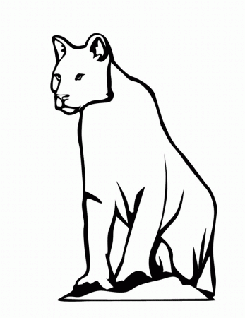 Snow Leopard coloring page - Animals Town - animals color sheet ...