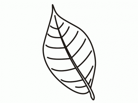 Related Leaf Coloring Pages item-13100, Leaf Coloring Pages Free ...