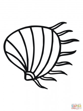 Clam coloring page | Free Printable Coloring Pages
