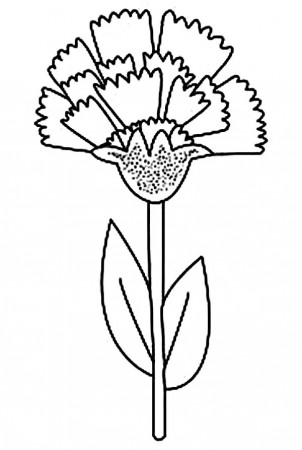 Ohio State Flower Carnation Coloring Page : Coloring Sun