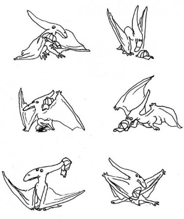 Drawing Of Pteranodon Coloring Page