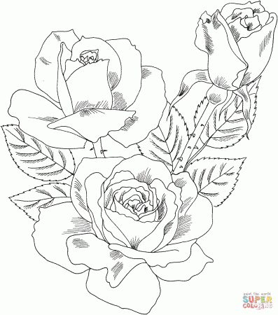 Roses coloring pages | Free Coloring Pages