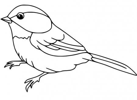 Sparrow Printable Coloring Page - Free Printable Coloring Pages for Kids