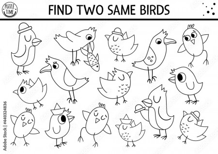 Find two same birds. Forest black and white matching activity or coloring  page. Funny outline woodland logical quiz worksheet for kids. Simple  printable seek and find game with cute animals . Stock