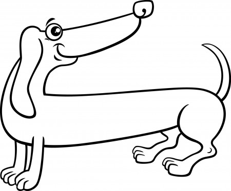 cartoon purebred dachshund dog coloring page 13276838 Vector Art at Vecteezy