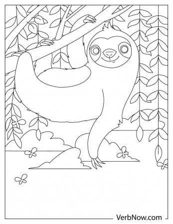 Free SLOTH Coloring Pages & Book for Download (Printable PDF) - VerbNow