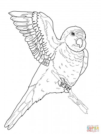Parrots coloring pages | Free Coloring Pages
