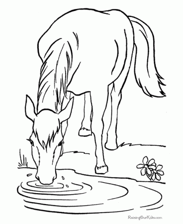 Free Horse Coloring Pages Printable | Free Coloring Pages