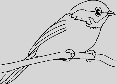 Ohio state bird coloring pages