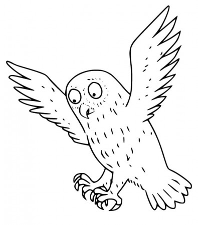 Owl from Gruffalo Coloring Page - Free Printable Coloring Pages for Kids