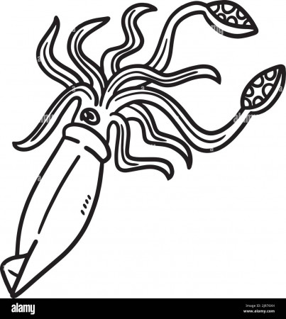 Giant squid Cut Out Stock Images & Pictures - Alamy