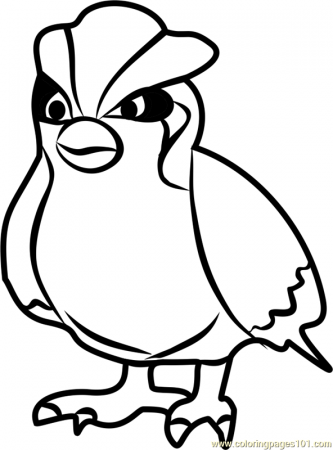 Pidgey Pokemon GO Coloring Page for ...