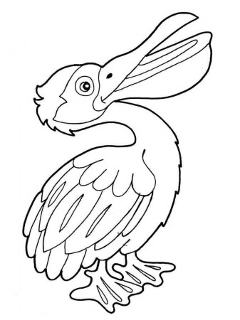 Pelican coloring pages. Download and print Pelican coloring pages