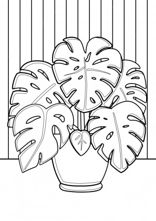 Premium Vector | Monstera home plants indoor coloring pages a4 for kids and  adult