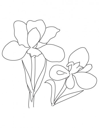 Blue Iris Coloring Page - Coloring Pages For All Ages