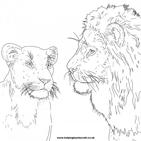 Lioness Coloring Pages (Page 1) - Line.17QQ.com