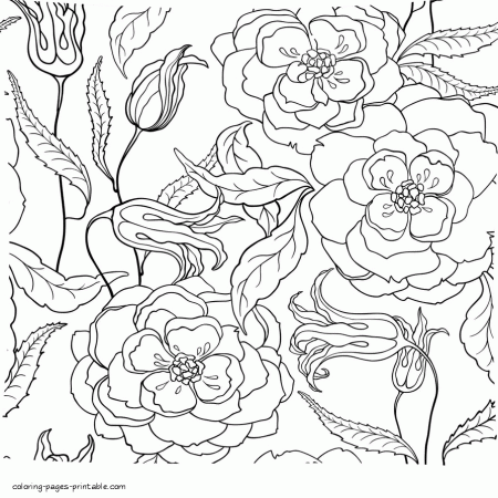 Free Printable Flower. Adult Coloring Pages || COLORING-PAGES-PRINTABLE.COM