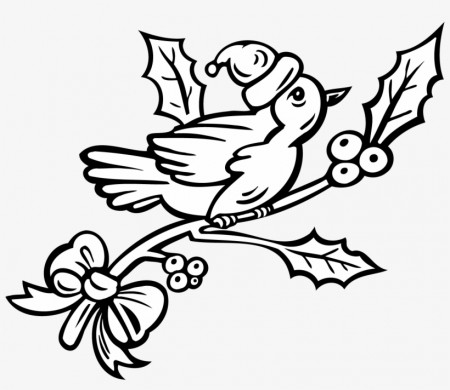 Printable Robin Bird Coloring Pages ...