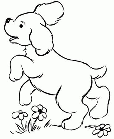 Collie Puppy Coloring Pages - Coloring Pages For All Ages