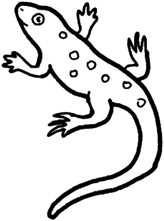 Free Printable Lizard Coloring Pages For Kids