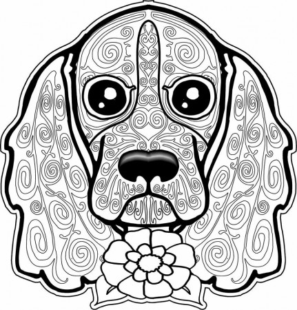 Cocker spaniel | Dog coloring page, Puppy coloring pages, Animal coloring  pages