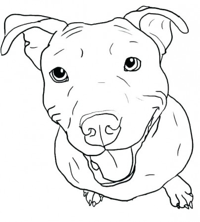 Pitbull Coloring Pages - Best Coloring Pages For Kids