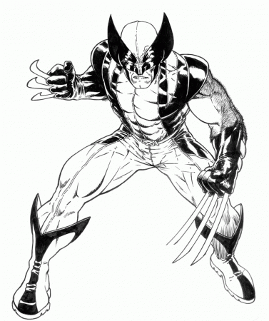 Related Wolverine Coloring Pages item-10975, Wolverine Coloring ...