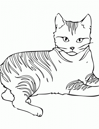 Get Warrior Cat Coloring Pages To Download And Print For Free ...