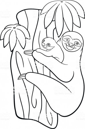 Coloring Pages Mother Sloth With Her Little Cute Baby Stock ...