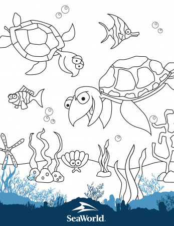 Coloring Pages & Games | SeaWorld