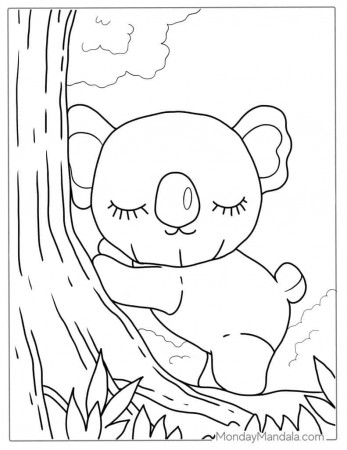 20 Koala Coloring Pages (Free PDF ...