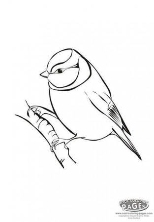 Blue Tit Colouring Pages - Free Colouring Pages