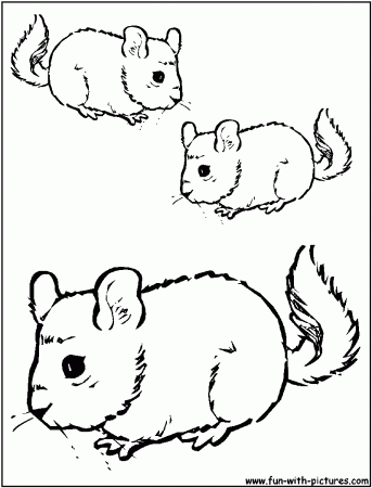 Pika Coloring Page