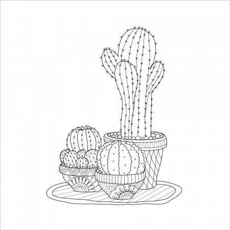 Free SUCCULENT Coloring Pages for Download (Printable PDF) - VerbNow