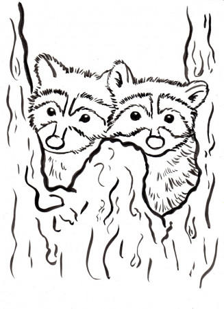 Raccoon Coloring Page - Art Starts